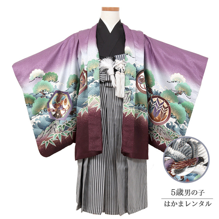 七五三 レンタル 5歳 男の子 袴セット 着物 羽織袴 和服 貸衣装 紫系